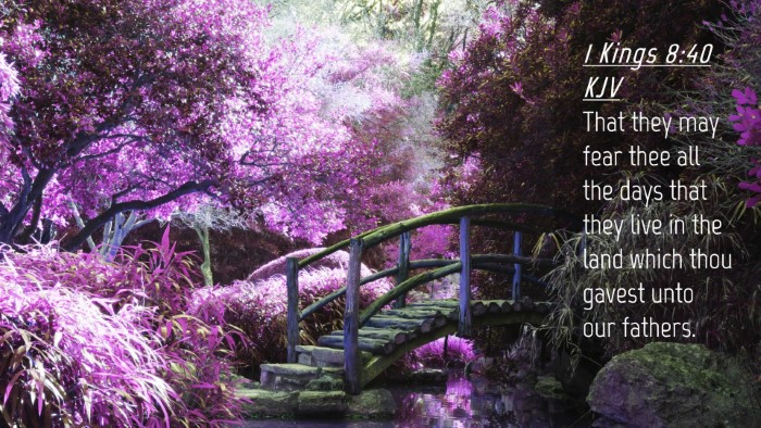 Picture 04 - 1 Kings 8:40 KJV Desktop Wallpaper - That they may fear thee all the days that they - Desktop Bible Verse Wallpaper