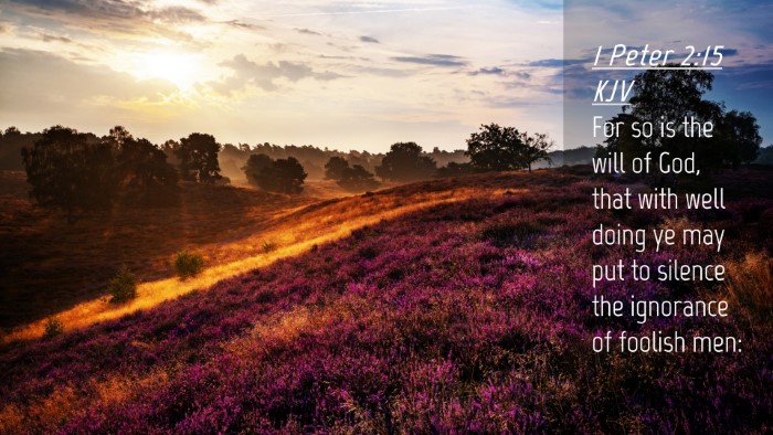 Picture 04 - 1 Peter 2:15 KJV Desktop Wallpaper - For so is the will of God, that with well doing - Desktop Bible Verse Wallpaper