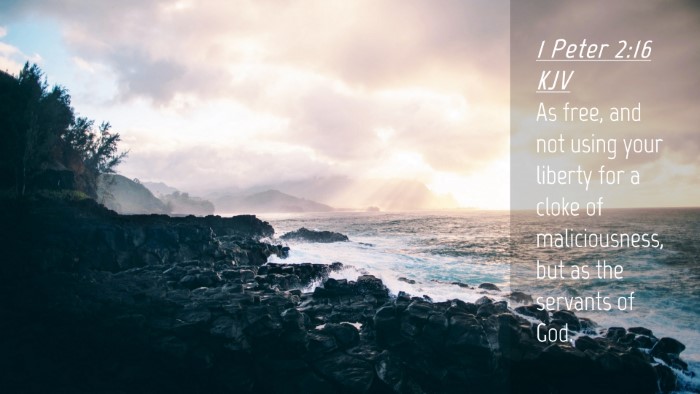 Picture 04 - 1 Peter 2:16 KJV Desktop Wallpaper - As free, and not using your liberty for a cloke - Desktop Bible Verse Wallpaper