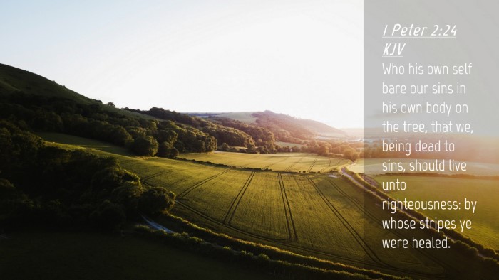 Picture 04 - 1 Peter 2:24 KJV Desktop Wallpaper - Who his own self bare our sins in his own body on - Desktop Bible Verse Wallpaper