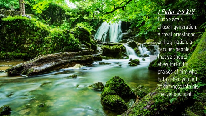 Picture 04 - 1 Peter 2:9 KJV Desktop Wallpaper - But ye are a chosen generation, a royal - Desktop Bible Verse Wallpaper