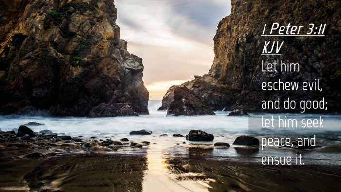 Picture 04 - 1 Peter 3:11 KJV Desktop Wallpaper - Let him eschew evil, and do good; let him seek - Desktop Bible Verse Wallpaper