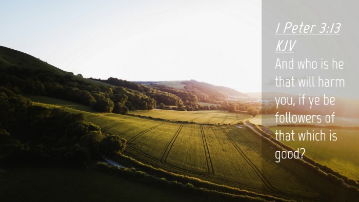 Picture 04 - 1 Peter 3:13 KJV Desktop Wallpaper - And who is he that will harm you, if ye be - Desktop Bible Verse Wallpaper