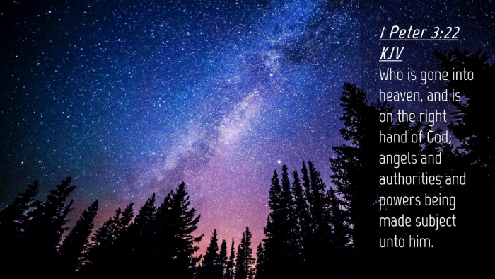 Picture 04 - 1 Peter 3:22 KJV Desktop Wallpaper - Who is gone into heaven, and is on the right hand - Desktop Bible Verse Wallpaper