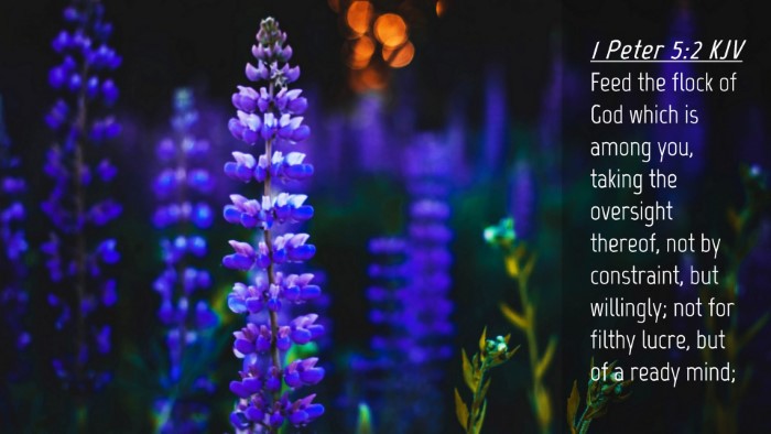 Picture 04 - 1 Peter 5:2 KJV Desktop Wallpaper - Feed the flock of God which is among you, taking - Desktop Bible Verse Wallpaper