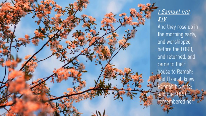 Picture 04 - 1 Samuel 1:19 KJV Desktop Wallpaper - And they rose up in the morning early, and - Desktop Bible Verse Wallpaper