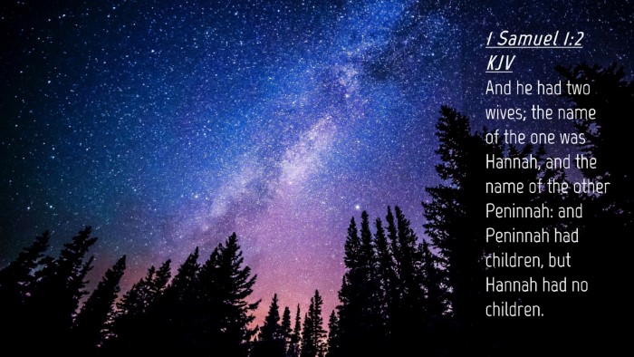 Picture 04 - 1 Samuel 1:2 KJV Desktop Wallpaper - And he had two wives; the name of the one was - Desktop Bible Verse Wallpaper