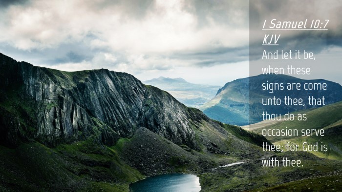 Picture 04 - 1 Samuel 10:7 KJV Desktop Wallpaper - And let it be, when these signs are come unto - Desktop Bible Verse Wallpaper