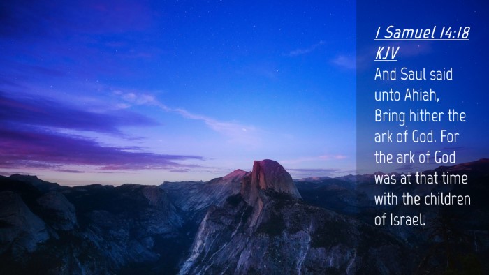Picture 04 - 1 Samuel 14:18 KJV Desktop Wallpaper - And Saul said unto Ahiah, Bring hither the ark of - Desktop Bible Verse Wallpaper