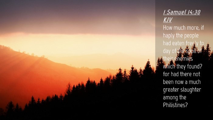 Picture 04 - 1 Samuel 14:30 KJV Desktop Wallpaper - How much more, if haply the people had eaten - Desktop Bible Verse Wallpaper