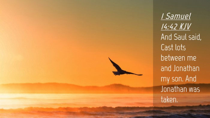 Picture 04 - 1 Samuel 14:42 KJV Desktop Wallpaper - And Saul said, Cast lots between me and Jonathan - Desktop Bible Verse Wallpaper