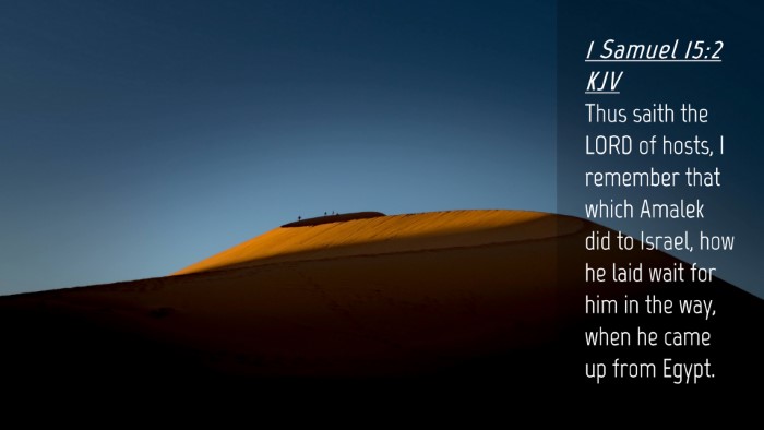 Picture 04 - 1 Samuel 15:2 KJV Desktop Wallpaper - Thus saith the LORD of hosts, I remember that - Desktop Bible Verse Wallpaper