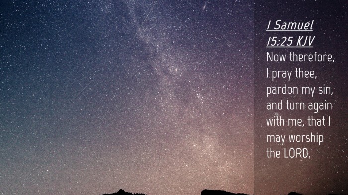 Picture 04 - 1 Samuel 15:25 KJV Desktop Wallpaper - Now therefore, I pray thee, pardon my sin, and - Desktop Bible Verse Wallpaper