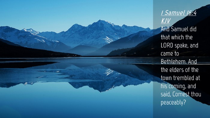 Picture 04 - 1 Samuel 16:4 KJV Desktop Wallpaper - And Samuel did that which the LORD spake, and - Desktop Bible Verse Wallpaper