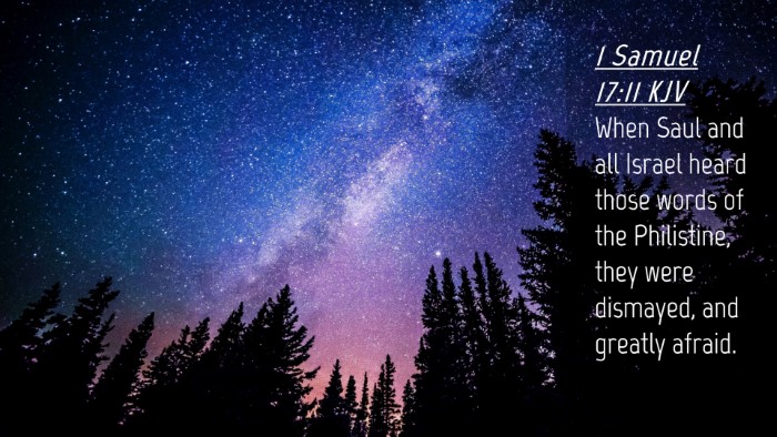 Picture 04 - 1 Samuel 17:11 KJV Desktop Wallpaper - When Saul and all Israel heard those words of the - Desktop Bible Verse Wallpaper