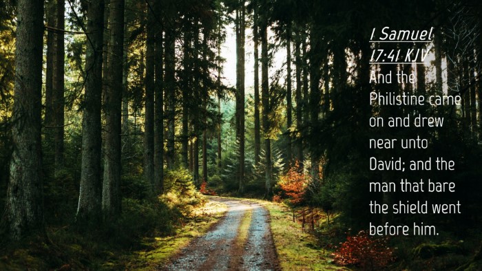 Picture 04 - 1 Samuel 17:41 KJV Desktop Wallpaper - And the Philistine came on and drew near unto - Desktop Bible Verse Wallpaper