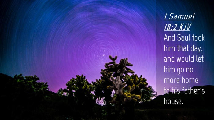 Picture 04 - 1 Samuel 18:2 KJV Desktop Wallpaper - And Saul took him that day, and would let him go - Desktop Bible Verse Wallpaper