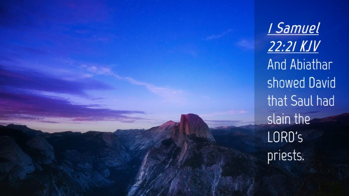 Picture 04 - 1 Samuel 22:21 KJV Desktop Wallpaper - And Abiathar showed David that Saul had slain the - Desktop Bible Verse Wallpaper