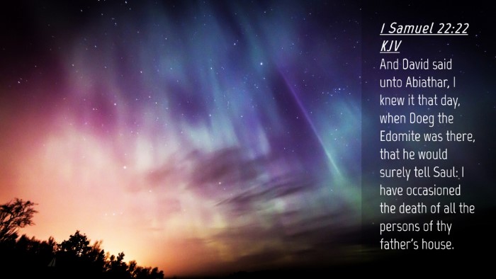 Picture 04 - 1 Samuel 22:22 KJV Desktop Wallpaper - And David said unto Abiathar, I knew it that day, - Desktop Bible Verse Wallpaper