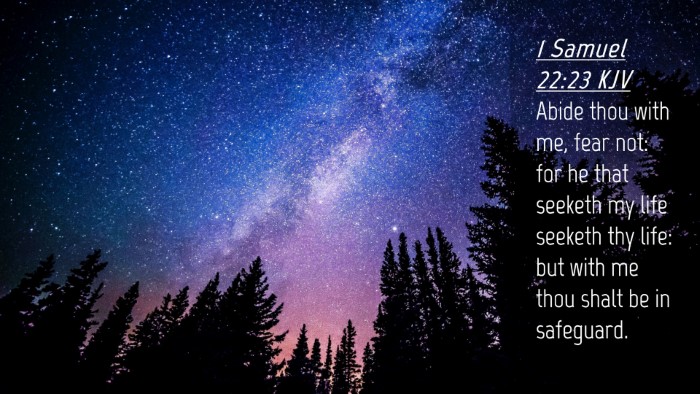 Picture 04 - 1 Samuel 22:23 KJV Desktop Wallpaper - Abide thou with me, fear not: for he that seeketh - Desktop Bible Verse Wallpaper