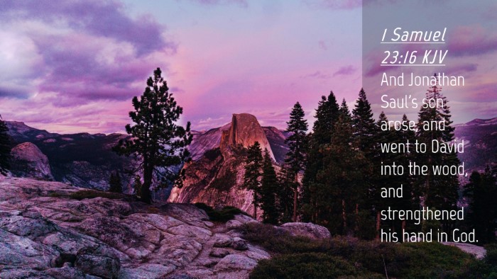 Picture 04 - 1 Samuel 23:16 KJV Desktop Wallpaper - And Jonathan Saul's son arose, and went to David - Desktop Bible Verse Wallpaper