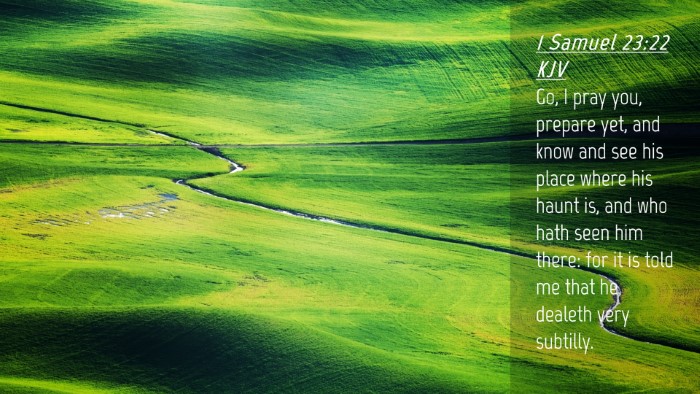 Picture 04 - 1 Samuel 23:22 KJV Desktop Wallpaper - Go, I pray you, prepare yet, and know and see his - Desktop Bible Verse Wallpaper