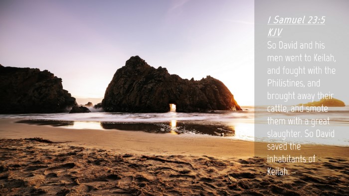 Picture 04 - 1 Samuel 23:5 KJV Desktop Wallpaper - So David and his men went to Keilah, and fought - Desktop Bible Verse Wallpaper