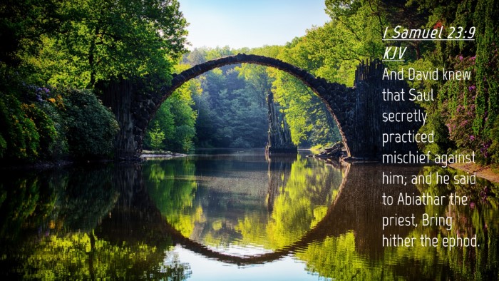 Picture 04 - 1 Samuel 23:9 KJV Desktop Wallpaper - And David knew that Saul secretly practiced - Desktop Bible Verse Wallpaper