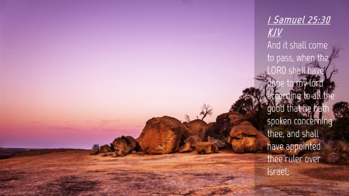 Picture 04 - 1 Samuel 25:30 KJV Desktop Wallpaper - And it shall come to pass, when the LORD shall - Desktop Bible Verse Wallpaper