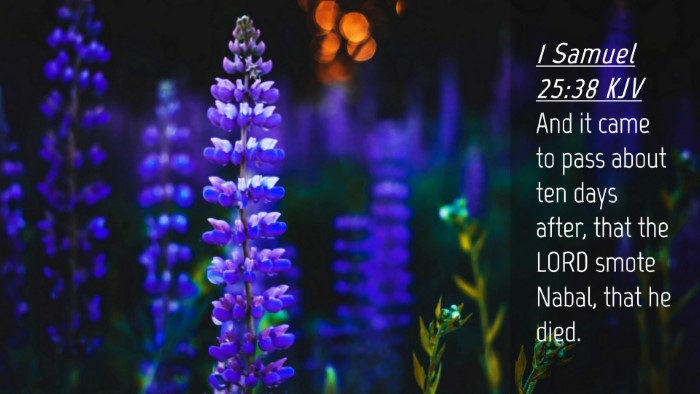 Picture 04 - 1 Samuel 25:38 KJV Desktop Wallpaper - And it came to pass about ten days after, that - Desktop Bible Verse Wallpaper