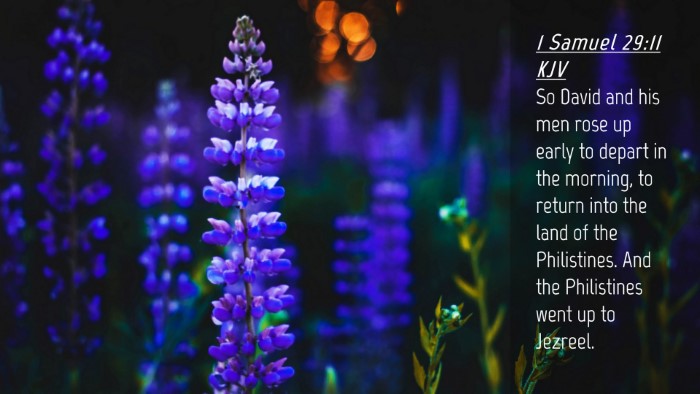 Picture 04 - 1 Samuel 29:11 KJV Desktop Wallpaper - So David and his men rose up early to depart in - Desktop Bible Verse Wallpaper