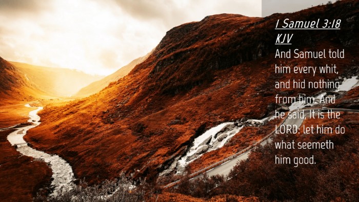 Picture 04 - 1 Samuel 3:18 KJV Desktop Wallpaper - And Samuel told him every whit, and hid nothing - Desktop Bible Verse Wallpaper