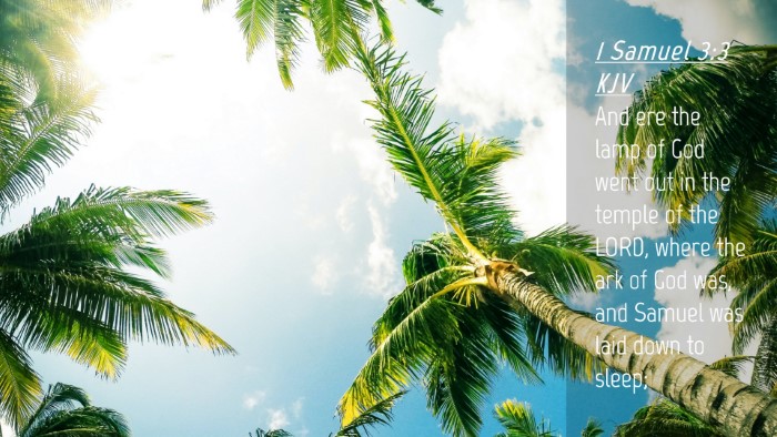 Picture 04 - 1 Samuel 3:3 KJV Desktop Wallpaper - And ere the lamp of God went out in the temple of - Desktop Bible Verse Wallpaper