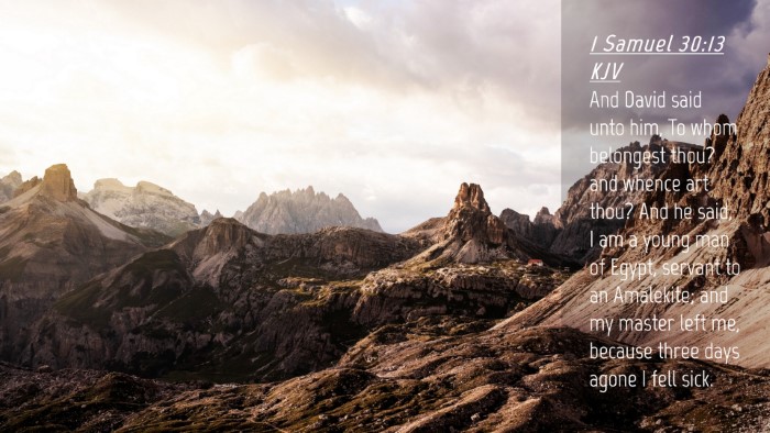 Picture 04 - 1 Samuel 30:13 KJV Desktop Wallpaper - And David said unto him, To whom belongest thou? - Desktop Bible Verse Wallpaper