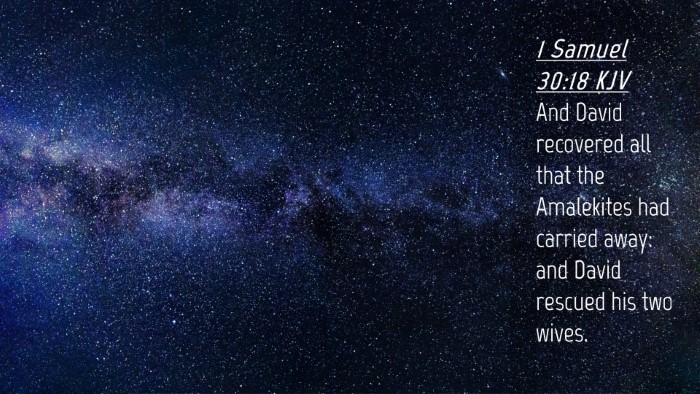 Picture 04 - 1 Samuel 30:18 KJV Desktop Wallpaper - And David recovered all that the Amalekites had - Desktop Bible Verse Wallpaper