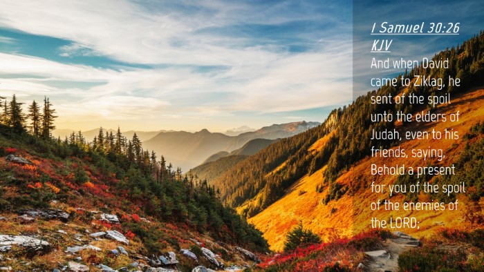 Picture 04 - 1 Samuel 30:26 KJV Desktop Wallpaper - And when David came to Ziklag, he sent of the - Desktop Bible Verse Wallpaper