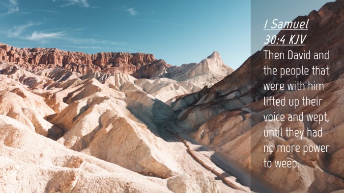 Picture 04 - 1 Samuel 30:4 KJV Desktop Wallpaper - Then David and the people that were with him - Desktop Bible Verse Wallpaper