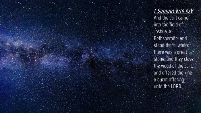 Picture 04 - 1 Samuel 6:14 KJV Desktop Wallpaper - And the cart came into the field of Joshua, a - Desktop Bible Verse Wallpaper