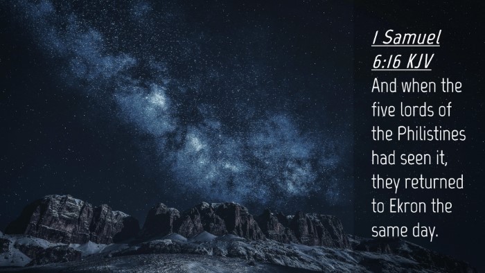 Picture 04 - 1 Samuel 6:16 KJV Desktop Wallpaper - And when the five lords of the Philistines had - Desktop Bible Verse Wallpaper