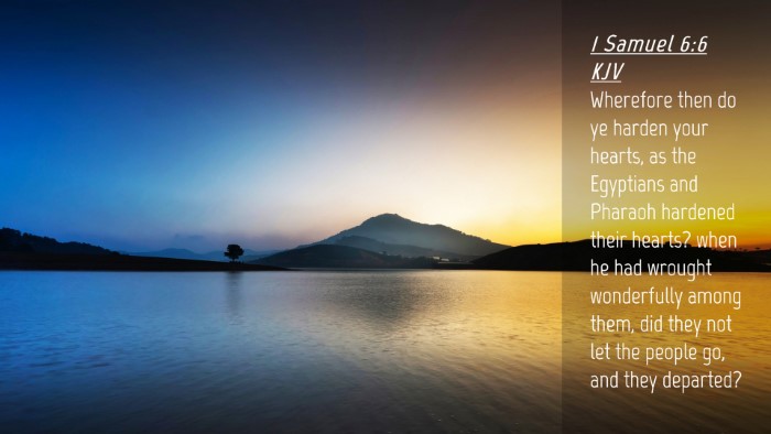 Picture 04 - 1 Samuel 6:6 KJV Desktop Wallpaper - Wherefore then do ye harden your hearts, as the - Desktop Bible Verse Wallpaper