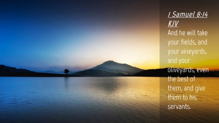 Picture 04 - 1 Samuel 8:14 KJV Desktop Wallpaper - And he will take your fields, and your vineyards, - Desktop Bible Verse Wallpaper