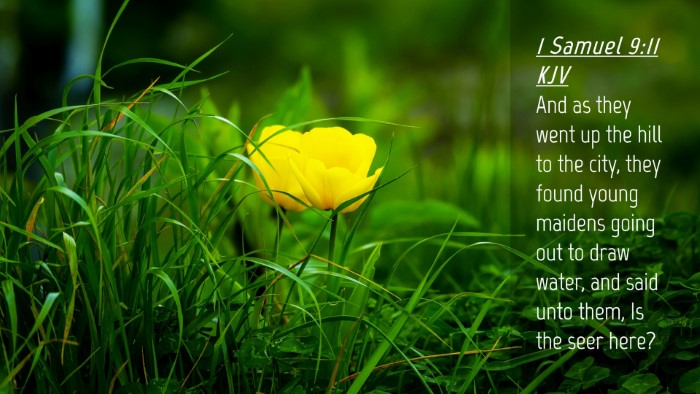 Picture 04 - 1 Samuel 9:11 KJV Desktop Wallpaper - And as they went up the hill to the city, they - Desktop Bible Verse Wallpaper