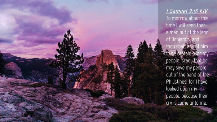 Picture 04 - 1 Samuel 9:16 KJV Desktop Wallpaper - To morrow about this time I will send thee a man - Desktop Bible Verse Wallpaper