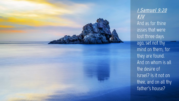 Picture 04 - 1 Samuel 9:20 KJV Desktop Wallpaper - And as for thine asses that were lost three days - Desktop Bible Verse Wallpaper