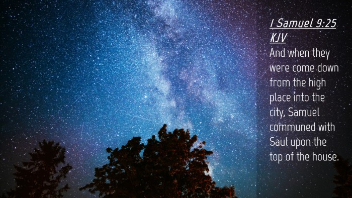 Picture 04 - 1 Samuel 9:25 KJV Desktop Wallpaper - And when they were come down from the high place - Desktop Bible Verse Wallpaper
