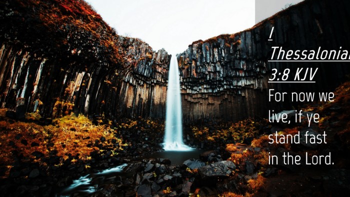 Picture 04 - 1 Thessalonians 3:8 KJV Desktop Wallpaper - For now we live, if ye stand fast in the - Desktop Bible Verse Wallpaper