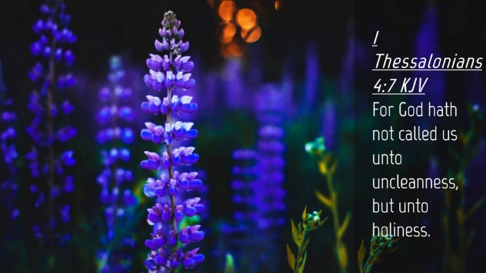 Picture 04 - 1 Thessalonians 4:7 KJV Desktop Wallpaper - For God hath not called us unto uncleanness, but - Desktop Bible Verse Wallpaper