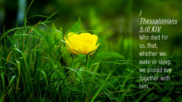 Picture 04 - 1 Thessalonians 5:10 KJV Desktop Wallpaper - Who died for us, that, whether we wake or sleep, - Desktop Bible Verse Wallpaper