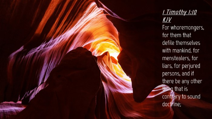 Picture 04 - 1 Timothy 1:10 KJV Desktop Wallpaper - For whoremongers, for them that defile themselves - Desktop Bible Verse Wallpaper