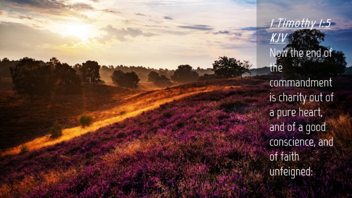 Picture 04 - 1 Timothy 1:5 KJV Desktop Wallpaper - Now the end of the commandment is charity out of - Desktop Bible Verse Wallpaper